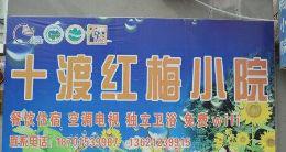 九渡红梅小院逍遥自在山中游 休闲娱乐农家情一一尽在红梅！