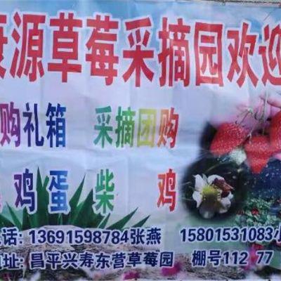 康源草莓采摘园