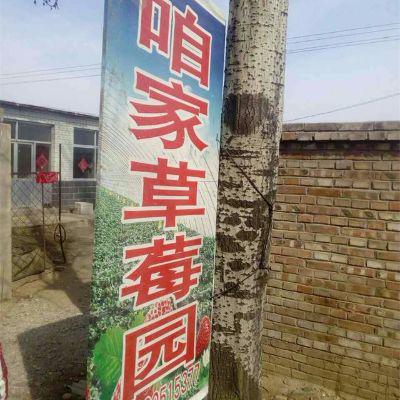 北京咱家草莓园