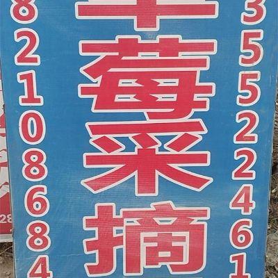 北京通州宋庄老谢草莓采摘园