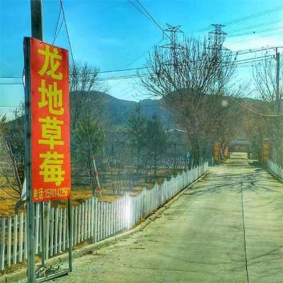 北京昌平龙地草莓园