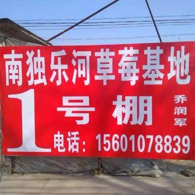 平谷南独乐河草莓基地1号棚