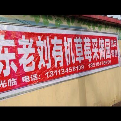 北京市山东老刘有机草莓采摘园