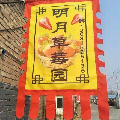 北京明月草莓园