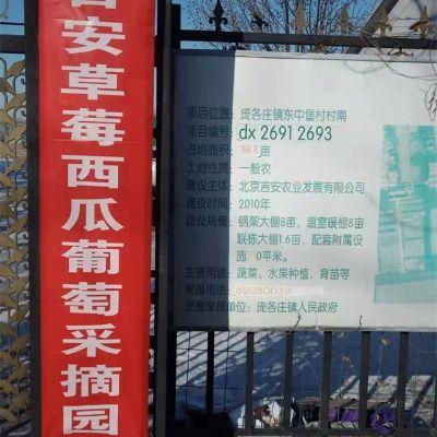 北京大兴吉安草莓西瓜葡萄采摘园