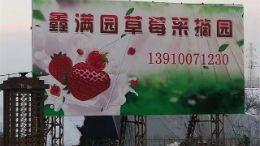 北京顺义农家院哪家好_北京采摘园哪家好_顺义草莓采摘哪家好