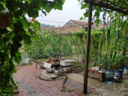 北京通州农家院_北京通州副中心潮白河东15公里农家院出租