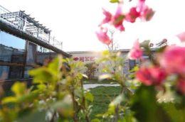 北京平谷金海湖晨菲阁民宿|平谷金海湖民宿|平谷金海湖农家院|平谷金海湖民宿哪家好