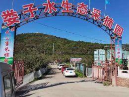 北京房山娄子水生态采摘园|北京房山生态采摘园|房山采摘园|房山水果采摘园