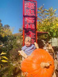 北京门头沟老忠客栈全羊宴|北京门头沟客栈|北京门头沟农家院|北京全羊宴