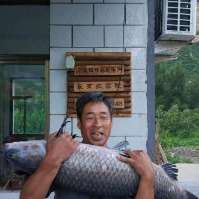 北京密云捧河湾长有农家院