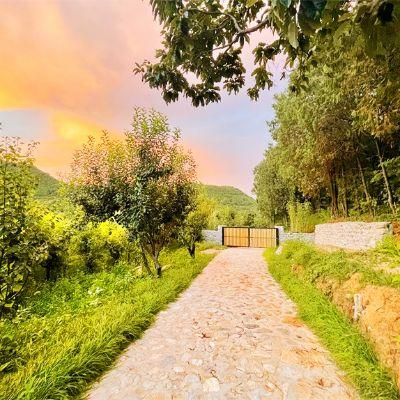 北京怀柔闻山悦目山景民宿