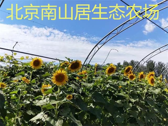 psb (15)_看图王hh.jpg