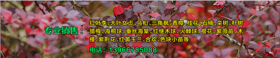 1552353791341069.png QQ截图20190312092018.png
