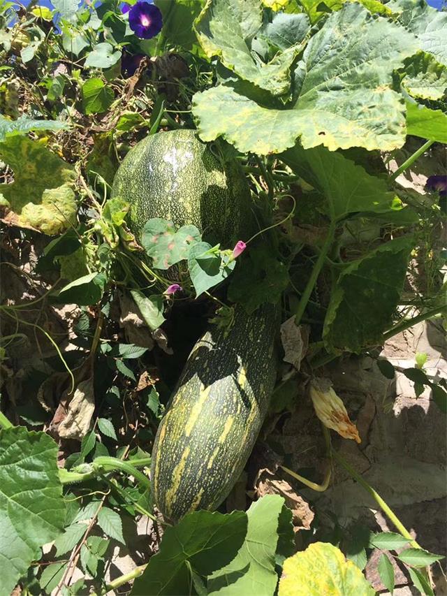 1554109917361467.jpg 微信图片_20190401162847.jpg