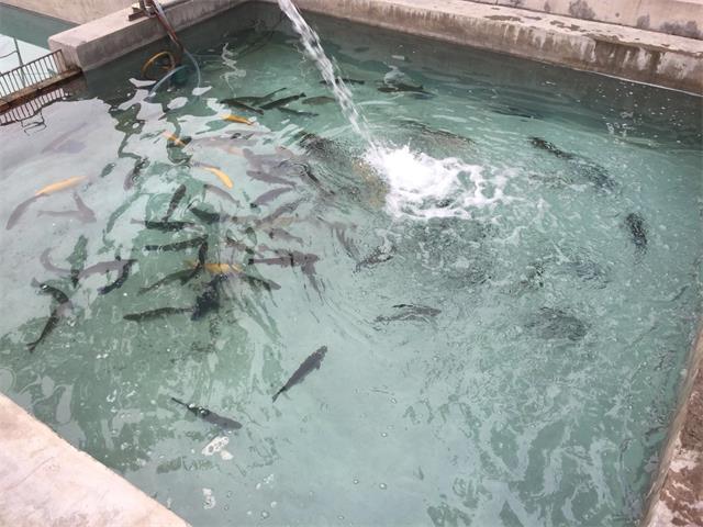 1554109939204530.jpg 微信图片_20190401162858.jpg