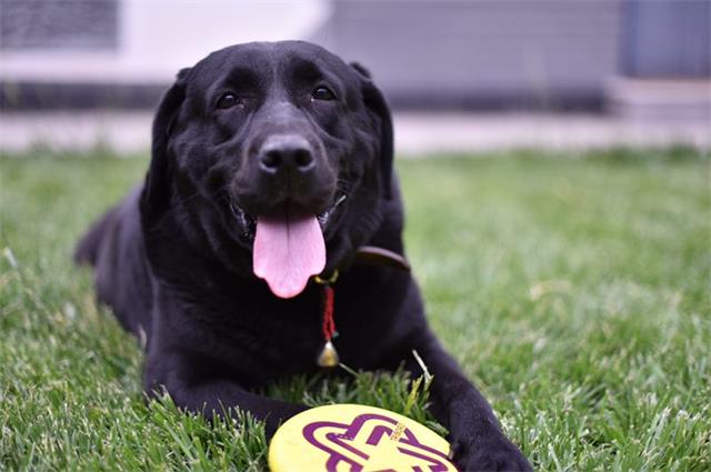 1556442810883786.jpg 微信图片_20190428171154.jpg