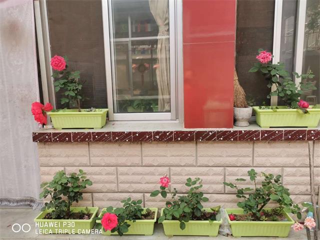 1561356814118685.jpg 微信图片_20190624141057.jpg