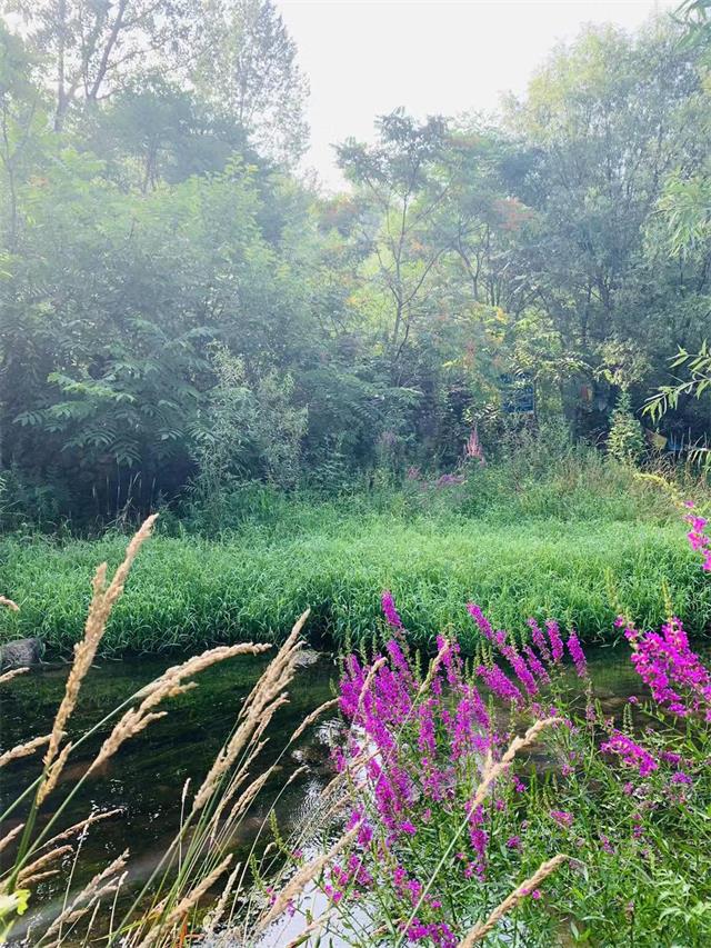 1566526060671921.jpg 微信图片_20190823100706.jpg