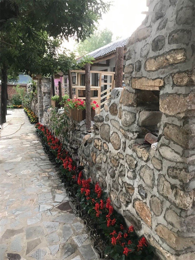 1586931994324733.jpg d28ddc047ff01765609d34d69e51144.jpg