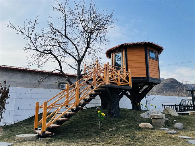 1610344859133706.jpg 5 (3).jpg