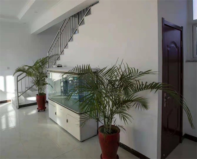 1618890554128606.jpg b63c92e57cec5f7c5169f276fc53a4d.jpg