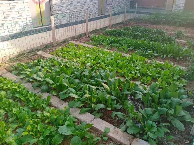 1621239582431348.jpg 13 (2).jpg