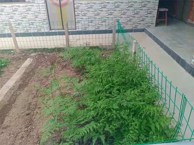 1621239591471229.jpg 14.jpg