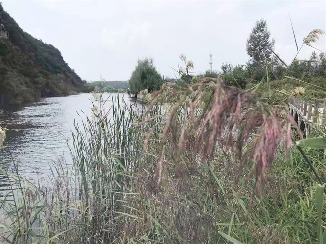 1634606240610476.jpg 399112ad105b1ede972a7f0b2746629.jpg