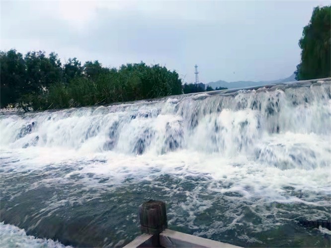 1634692780647946.jpg 0971b90684feeb59f56e57a3e36b0d1.jpg