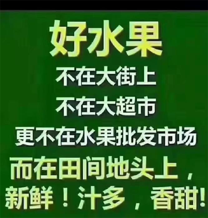 1638160150983225.jpg psc (25).jpg