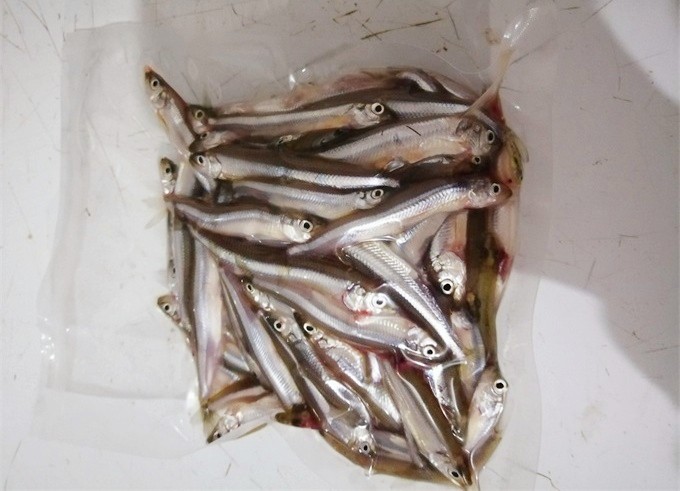 1646892520319342.jpg 40_看图王.jpg