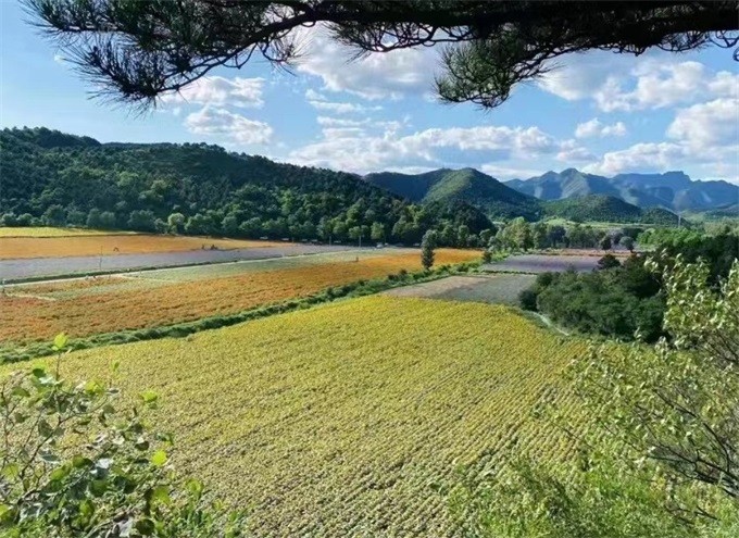 aad410588d0bf1d0cfdfe714f4f538c_看图王.jpg